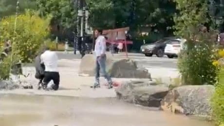 Montreal father assaulted in front of his children leads to outrage from officials