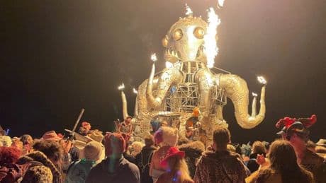 Mystery after man found dead in pool of blood at Burning Man festival