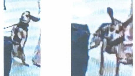 Tourist who kicked airport sniffer dog into the air receives satisfying punishment