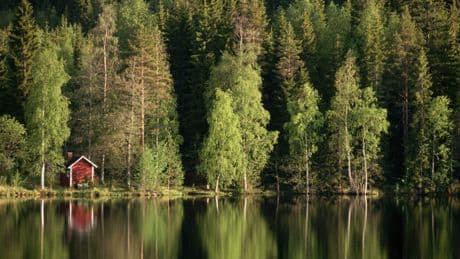 I travelled 1,000km by train to find the secret to Finland’s happiness