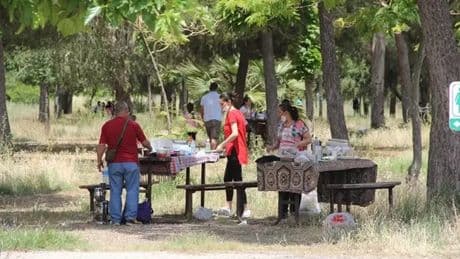 Piknik planı için havaların ısınmasını bekleyenlere kötü haber! O ilimizde tamamen yasaklandı: O tarihte başlıyor