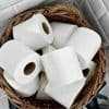 Comment faisaient nos ancêtres quand le papier toilette n’existait pas ?