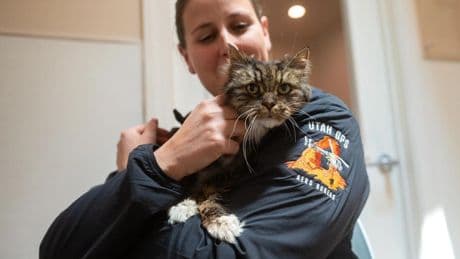 Pilot Adopts Cat She Rescued After 380-Foot Fall In National Park