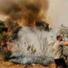 Greece, Spain and Portugal race to contain wildfires as EU steps up cross-border help