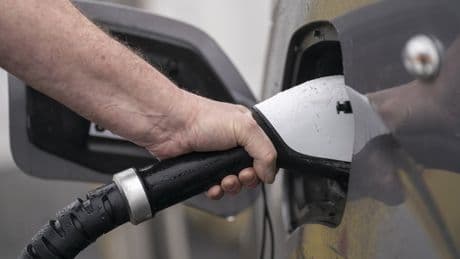 Electric cars eligible for new government grants revealed