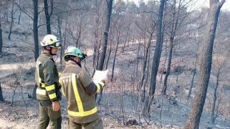 Cómo evitar que un día en la naturaleza acabe en tragedia