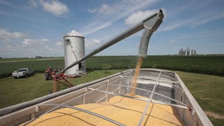 Trump Is Squeezing U.S. Farmers on All Sides
