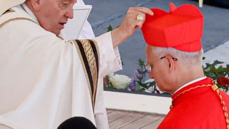 Pope Francis Connected with Leo XIV Long Ago and Boosted His Career