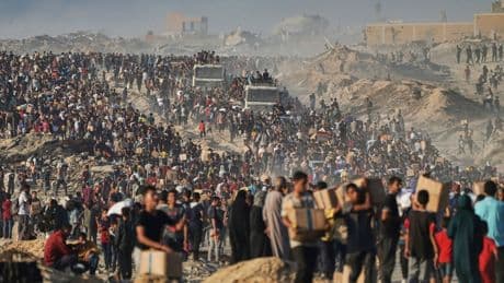 Photos show crowds of desperate Palestinians struggling to get food