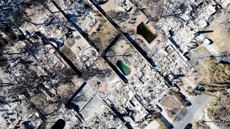 Gewinneinbruch: US-Waldbrände kosten deutsche Rückversicherer Milliarden