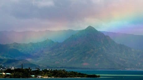 Urgent warning for Hawaiian tourists as brain parasite cases continue: ‘Don’t eat raw food’