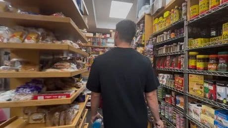 Among the deli meats of New York's bodegas that are becoming the city's viral stars