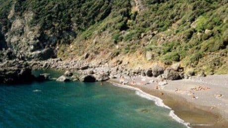 Sesso sugli scogli: choc a Livorno