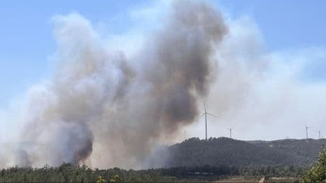 Çanakkale'de yine yangın: Kazdağları tehdit altında