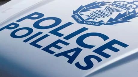 Van driver killed and dog put down after horror accident on rural Scots road