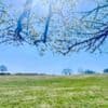 UK could see hottest day of the year as sunshine continues