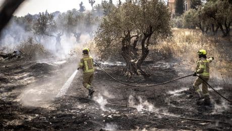 En Israël, les incendies questionnent les priorités du gouvernement Netanyahou