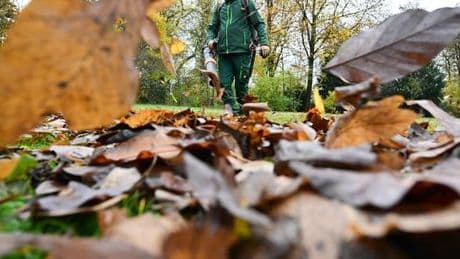 A Zurich, la guerre des souffleuses de feuilles ou la revanche anti-« woke »