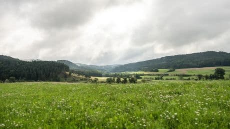Deutscher Wetterdienst: Sonnigeres Wetter zur Wochenmitte erwartet
