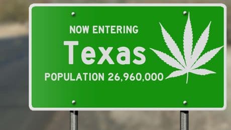 Texas Moves To Ban Hemp Products  But Approves Psychedelic Research