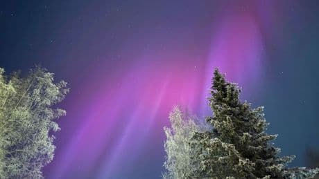 Northern Lights Forecast: 15 States May See Aurora Borealis Tonight