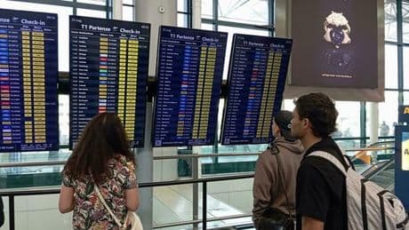 Voli, le nuove regole dai documenti ai liquidi agli animali in cabina: ecco come viaggeremo in aereo (già da subito), tutte le novità
