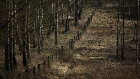 La Lituanie va fortifier sa frontière avec la Russie pour pouvoir «bloquer et ralentir» des actions «hostiles»