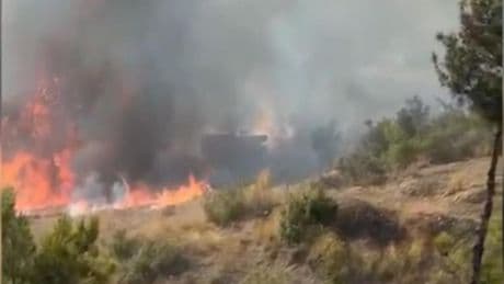 Osmaniye’deki orman yangını: Alevlerin arasında kalan arasöz son anda kurtarıldı