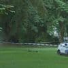 TIJDLIJN. Van achtervolging tot aanrijding in het natte gras: dit ging aan de dood van Fabian (11) vooraf