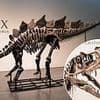 Inside the multi-million pound Jurassic underworld: How oligarchs and the uber-rich are in a cut-throat race for trophy dinosaur bones - and criminals are cashing in