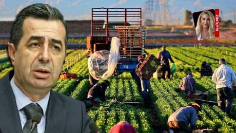 Tarımda kiralama modeline tepki: 'Çiftçi dışlanıyor, toprak şirketlere gidiyor'