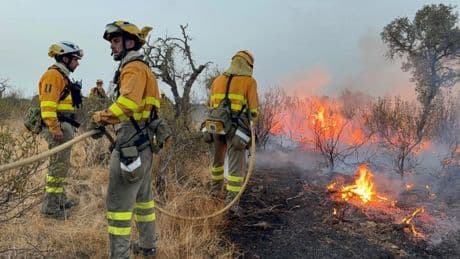 Los silvicultores fijan en 1.000 millones anuales el gasto necesario para mantener los bosques