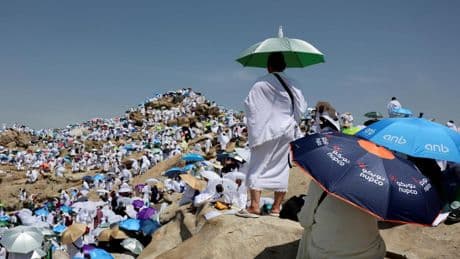Las imágenes del día: del silencio del Monte Arafat a los robos de las gaviotas