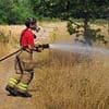 Britain on high alert for wildfires as sweltering heatwave hits 32C with more than six million homes banned from using hosepipes