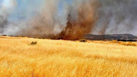 Suspendida la circulación del AVE entre Madrid y Andalucía por un incendio en Ciudad Real