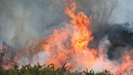 Crews battling wildfire equivalent to five football pitches in size