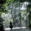 Wetter: Temperaturen bis 40 Grad - Ab Donnerstag dann Abkühlung