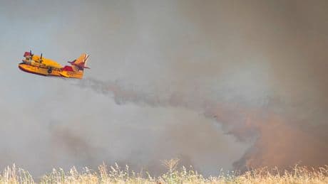 An uncontrolled wildfire sends a cloud of smoke over Spain's capital