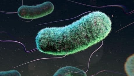 Antibiyotik direnci bir yılda üç milyon çocuğun ölümüyle ilişkilendiriliyor