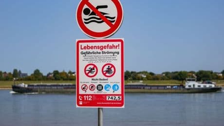 Düsseldorf greift durch: Strenges Badeverbot im Rhein