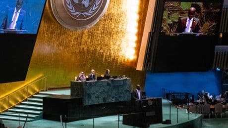 Arab States Call for Hamas to Disarm Amid Push for a Palestinian State