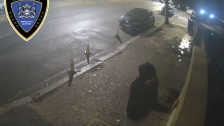 Faeces daubed on synagogues and school targeted in ‘antisemitic attacks’
