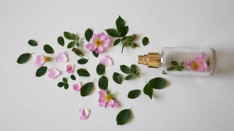 prchè il profumo non va messo in spiaggia