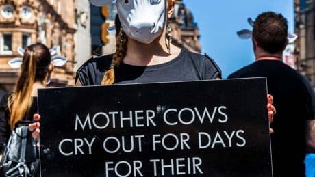 Vegan charity Viva! ad featuring baby being taken from mother banned