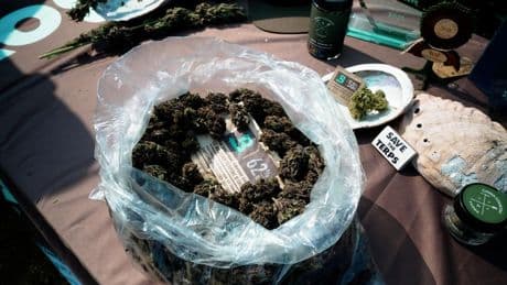 What Works In Weed: 9 Tools Operators Actually Use (And Don’t Break The Bank)