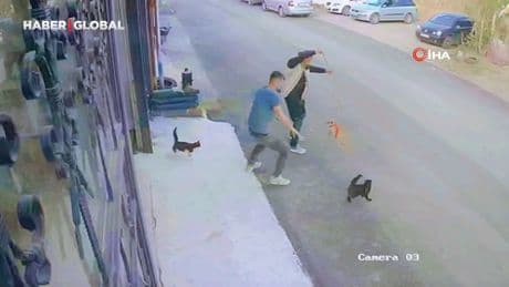 Erzurum’da kaldırımdan geçerken kedilerin saldırısına uğrayan adam kahkahaya boğdu