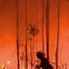 Incendies au Portugal : des milliers de pompiers toujours mobilisés
