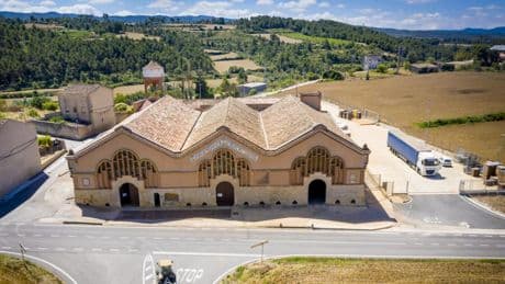 La primera ‘catedral del vino’ de Catalunya se renueva