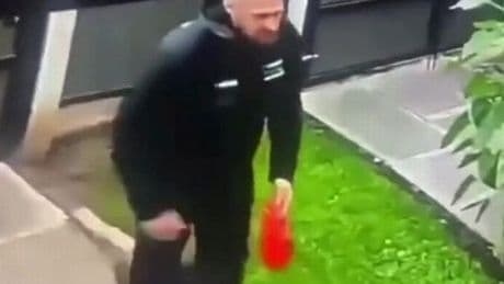 Horror moment dog owner hurls elderly pet over fence and onto concrete