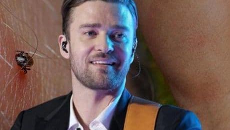 Kalpten beyne yayılan kene tehdidi! Justin Timberlake de listede: 'İlk sinyal yorgunluk'